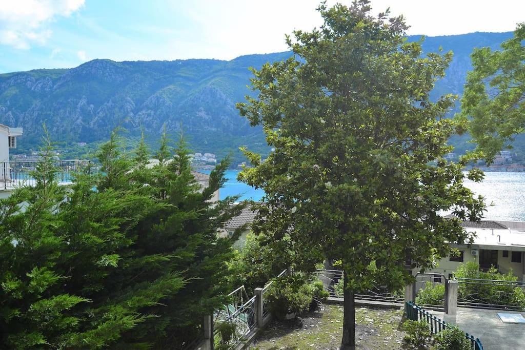 Urban Escape For Two In Kotor Apartment Екстериор снимка